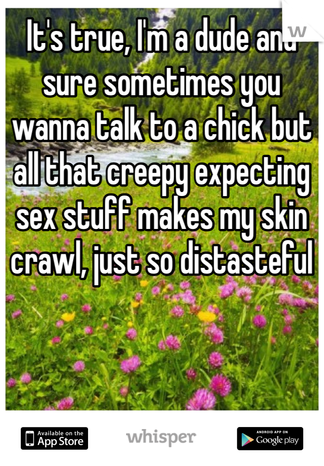 It's true, I'm a dude and sure sometimes you wanna talk to a chick but all that creepy expecting sex stuff makes my skin crawl, just so distasteful 