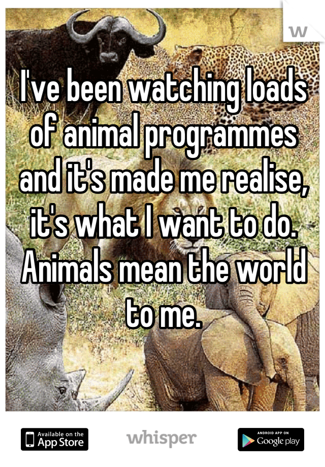 I've been watching loads of animal programmes and it's made me realise, it's what I want to do. Animals mean the world to me.