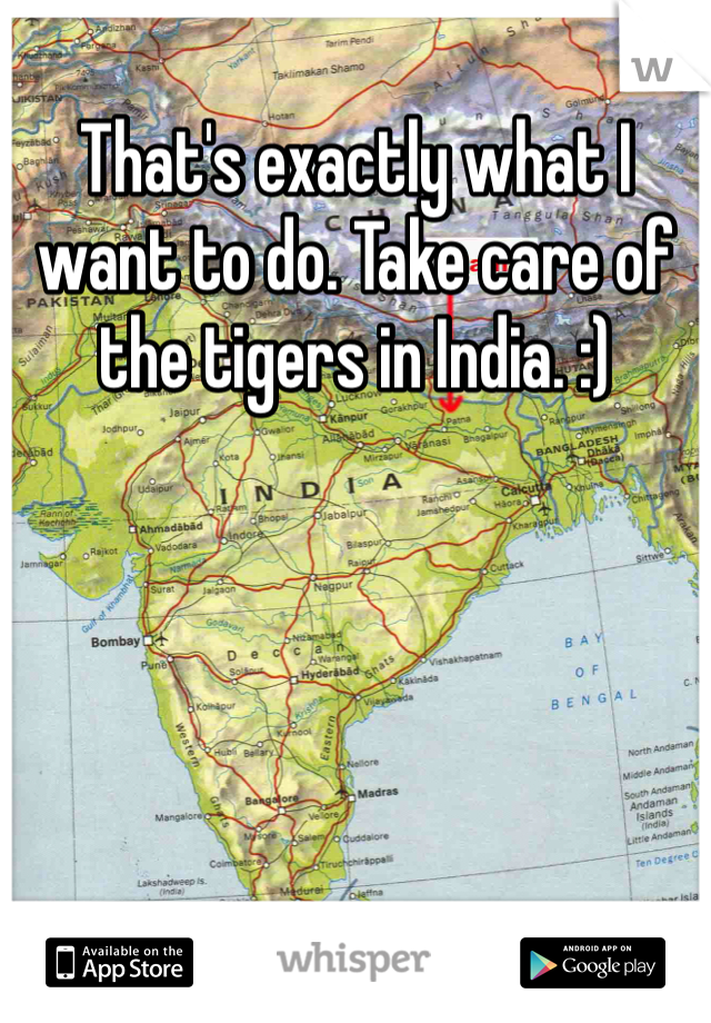 That's exactly what I want to do. Take care of the tigers in India. :)
