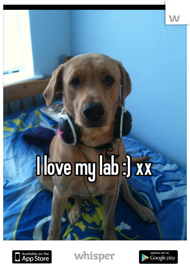 I love my lab :) xx