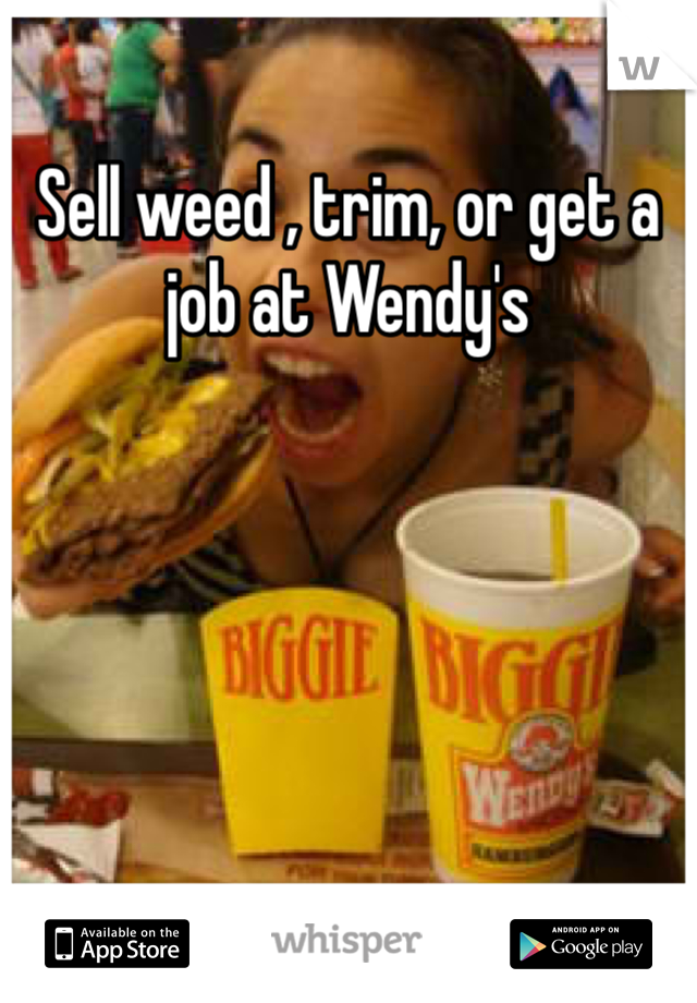 Sell weed , trim, or get a job at Wendy's 