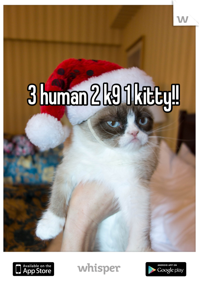 3 human 2 k9 1 kitty!! 