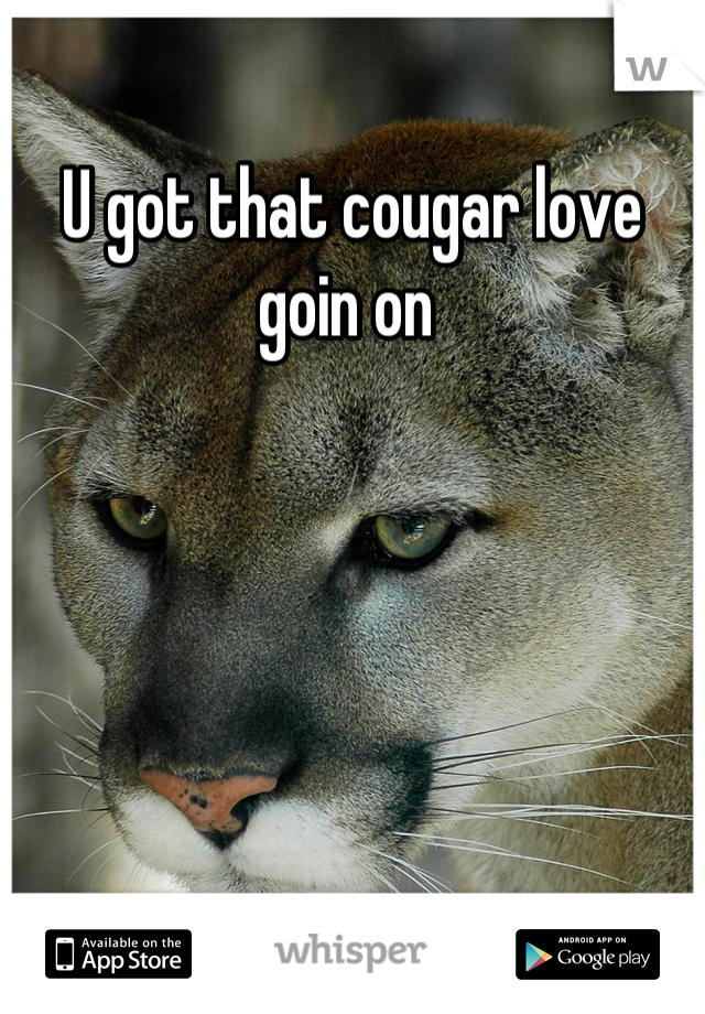 U got that cougar love goin on 
