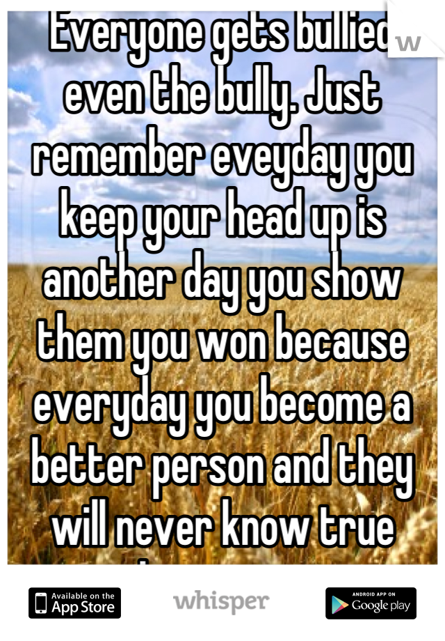 Everyone gets bullied even the bully. Just remember eveyday you keep your head up is another day you show them you won because everyday you become a better person and they will never know true happiness 
