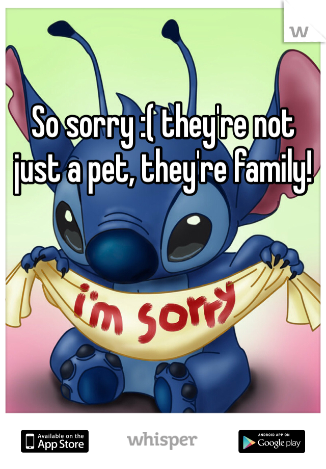So sorry :( they're not just a pet, they're family! 
