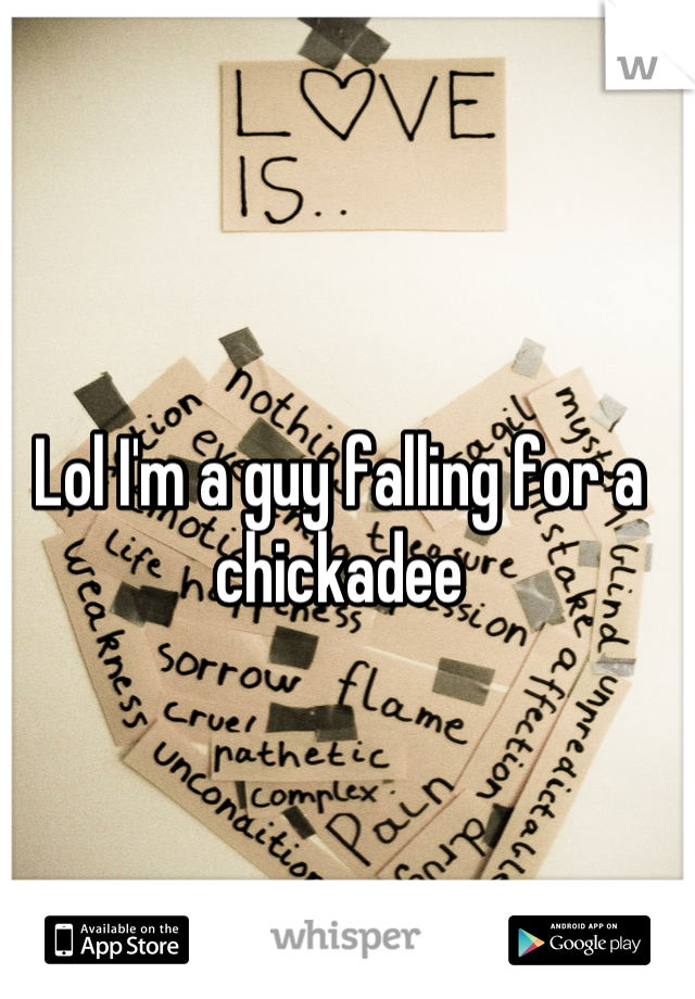 Lol I'm a guy falling for a chickadee