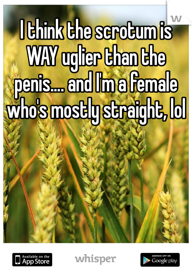 I think the scrotum is WAY uglier than the penis.... and I'm a female who's mostly straight, lol