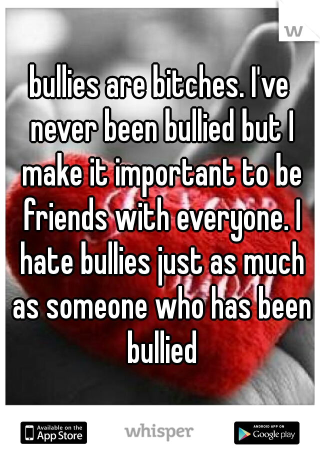 bullies are bitches. I've never been bullied but I make it important to be friends with everyone. I hate bullies just as much as someone who has been bullied