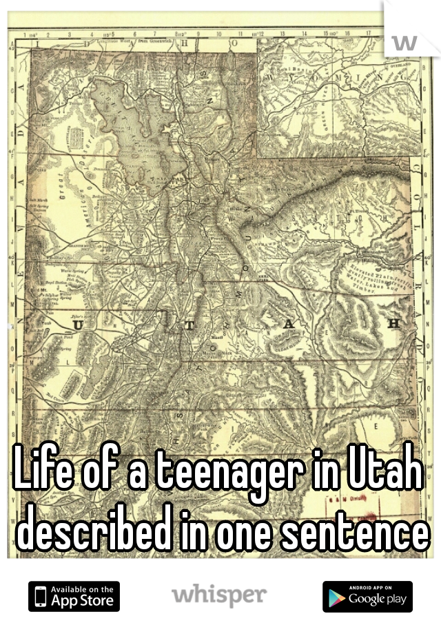 Life of a teenager in Utah described in one sentence