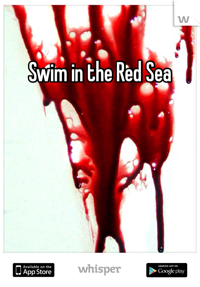 Swim in the Red Sea 