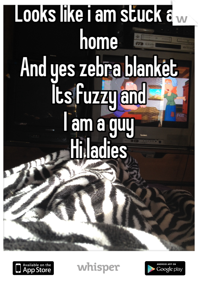 Looks like i am stuck at home
And yes zebra blanket
Its fuzzy and
I am a guy
Hi ladies  