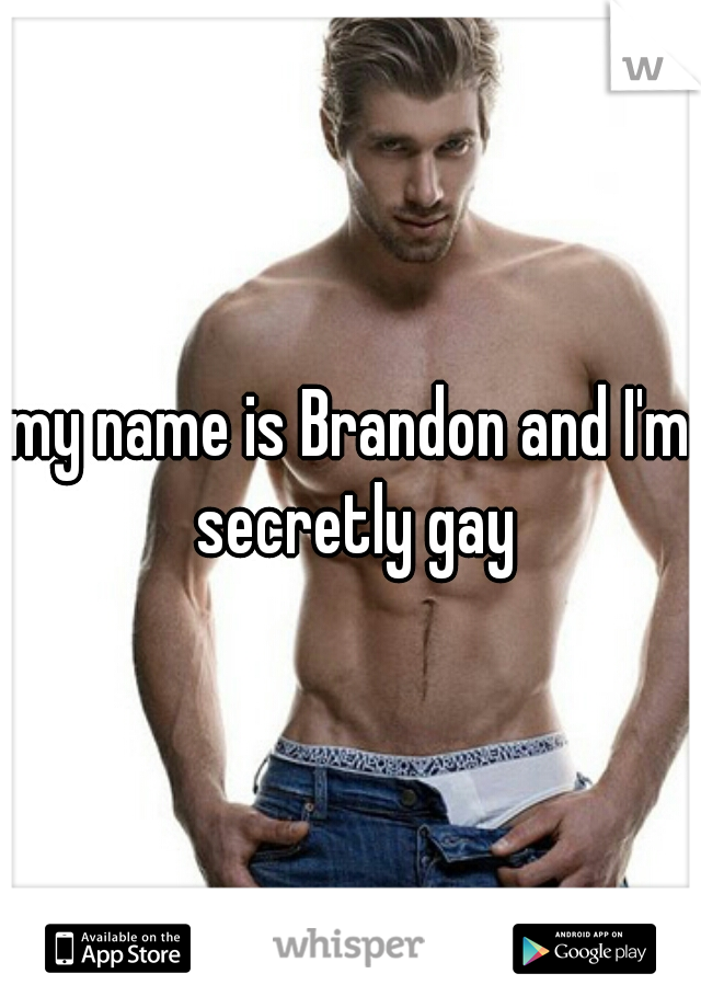 my name is Brandon and I'm secretly gay