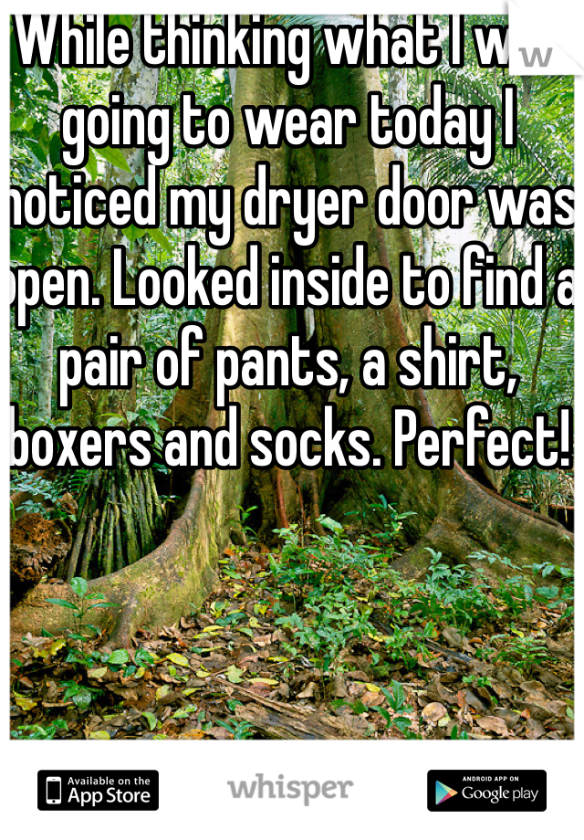 While thinking what I was going to wear today I noticed my dryer door was open. Looked inside to find a pair of pants, a shirt, boxers and socks. Perfect!