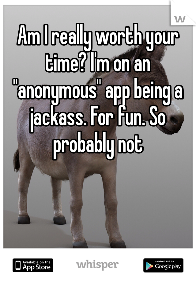 Am I really worth your time? I'm on an "anonymous" app being a jackass. For fun. So probably not