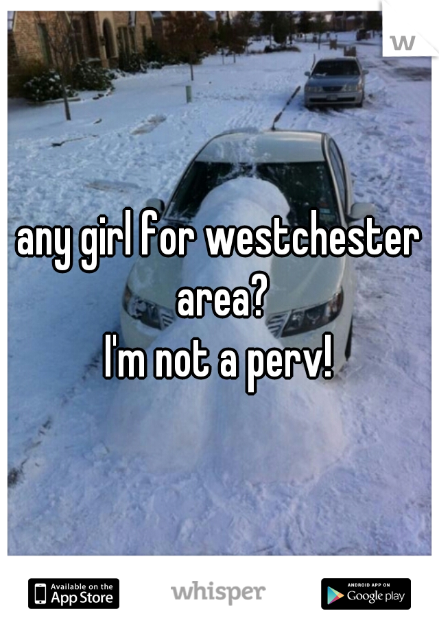 any girl for westchester area?
 I'm not a perv! 