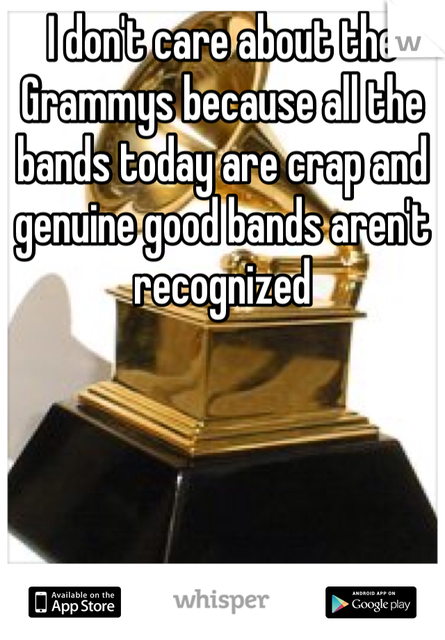 I don't care about the Grammys because all the bands today are crap and genuine good bands aren't recognized