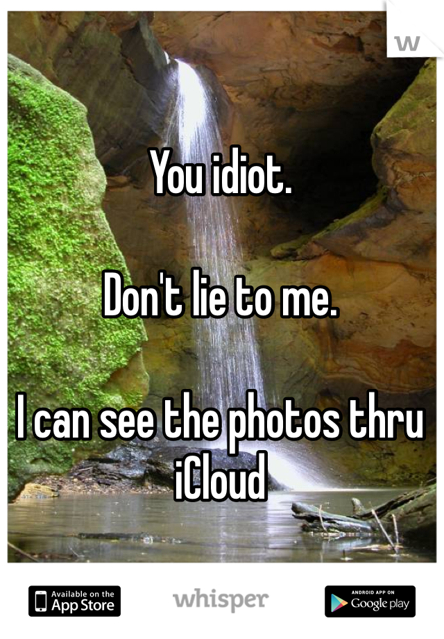 You idiot.

Don't lie to me. 

I can see the photos thru iCloud 