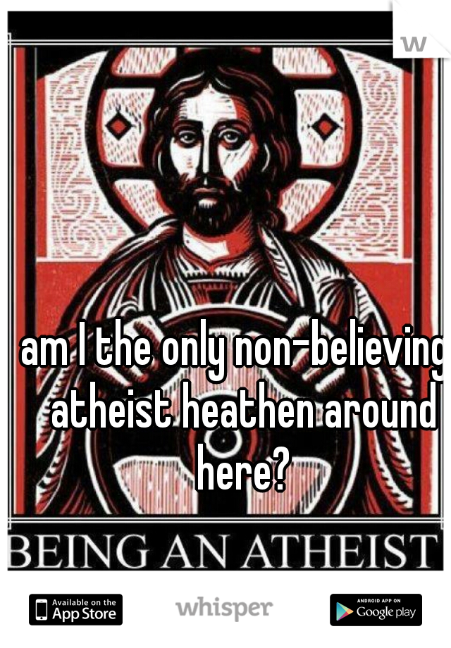 am I the only non-believing, atheist heathen around here?