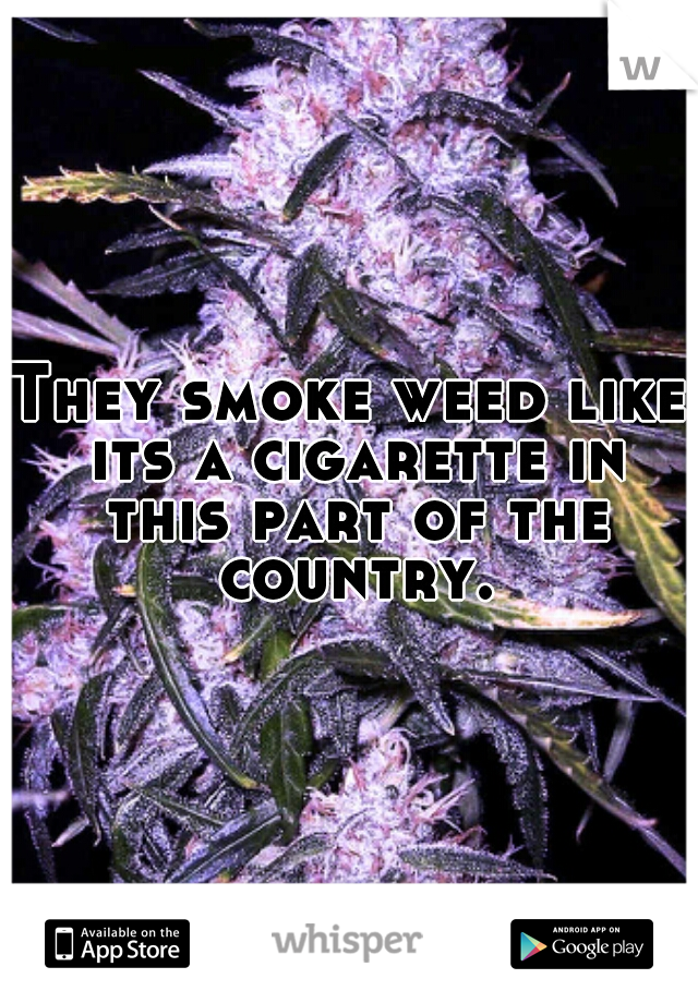 They smoke weed like its a cigarette in this part of the country.