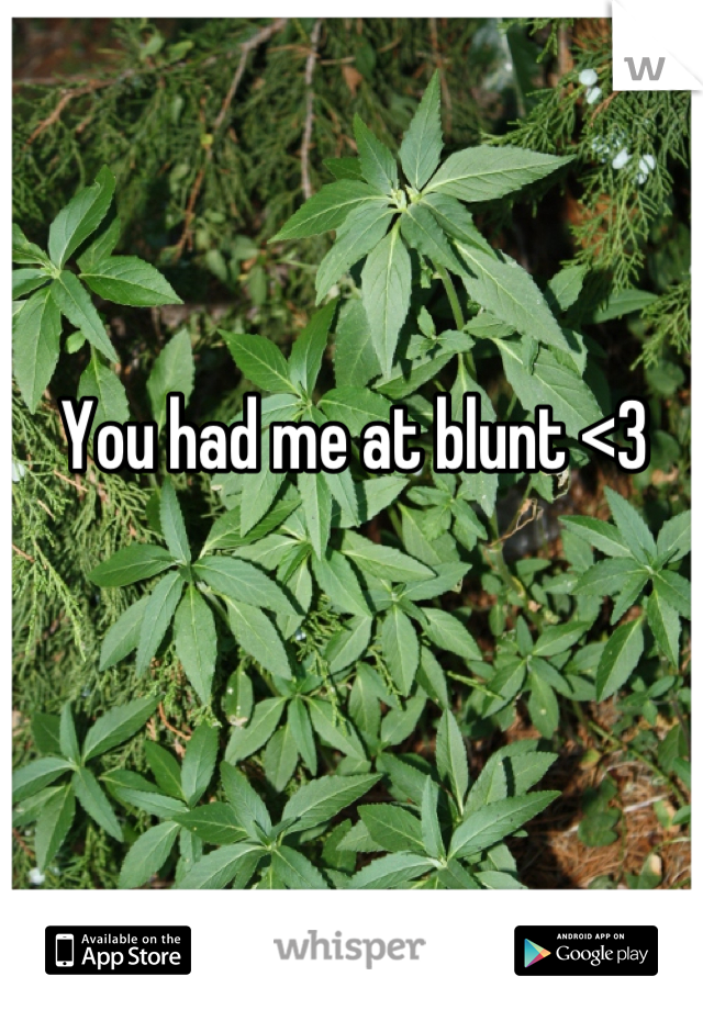 You had me at blunt <3