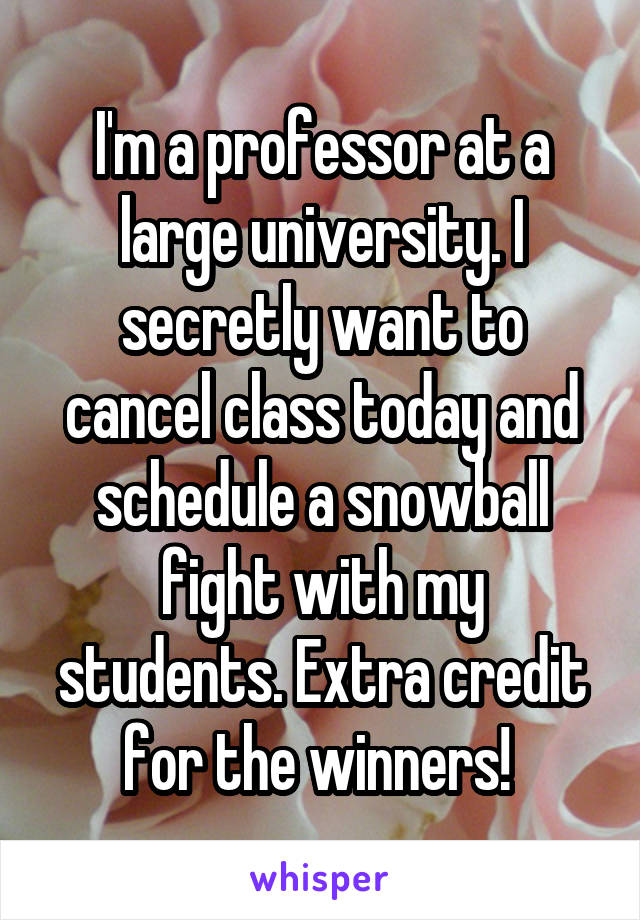 I'm a professor at a large university. I secretly want to cancel class today and schedule a snowball fight with my students. Extra credit for the winners! 