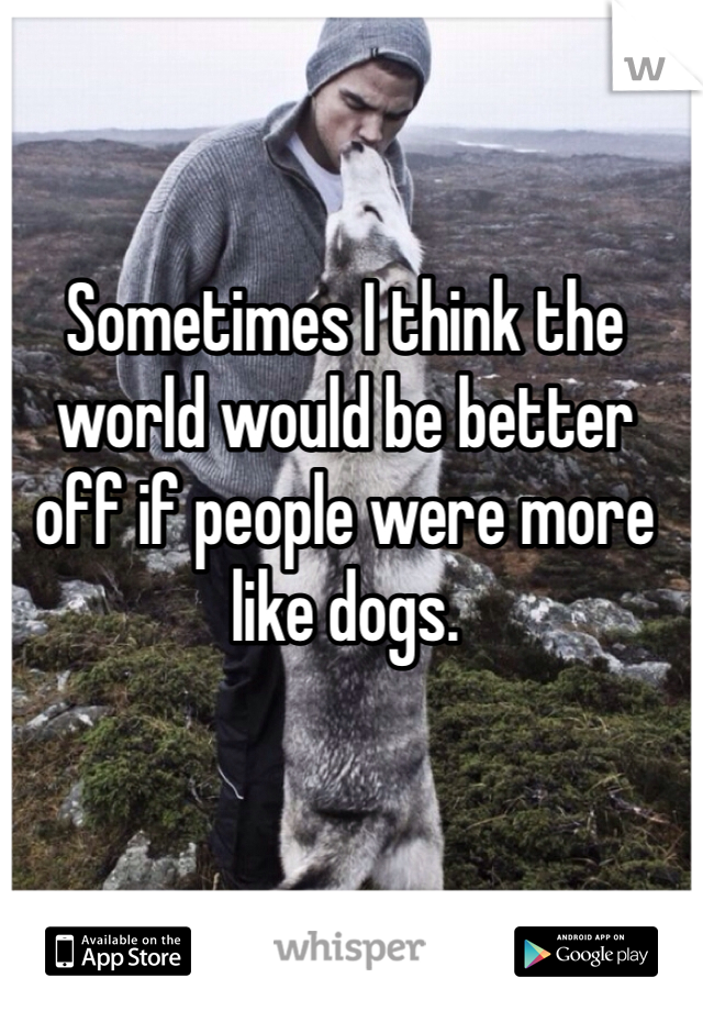 Sometimes I think the world would be better off if people were more like dogs. 