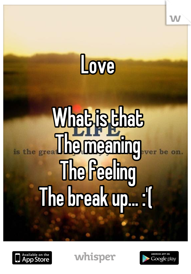 Love

What is that 
The meaning 
The feeling 
The break up... :'( 