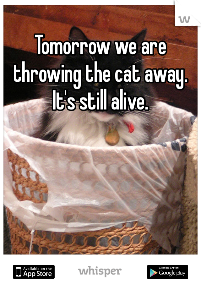 Tomorrow we are throwing the cat away. It's still alive.