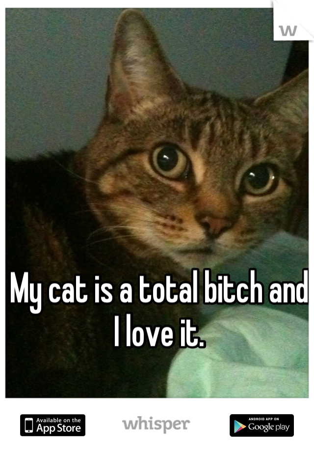 My cat is a total bitch and I love it.