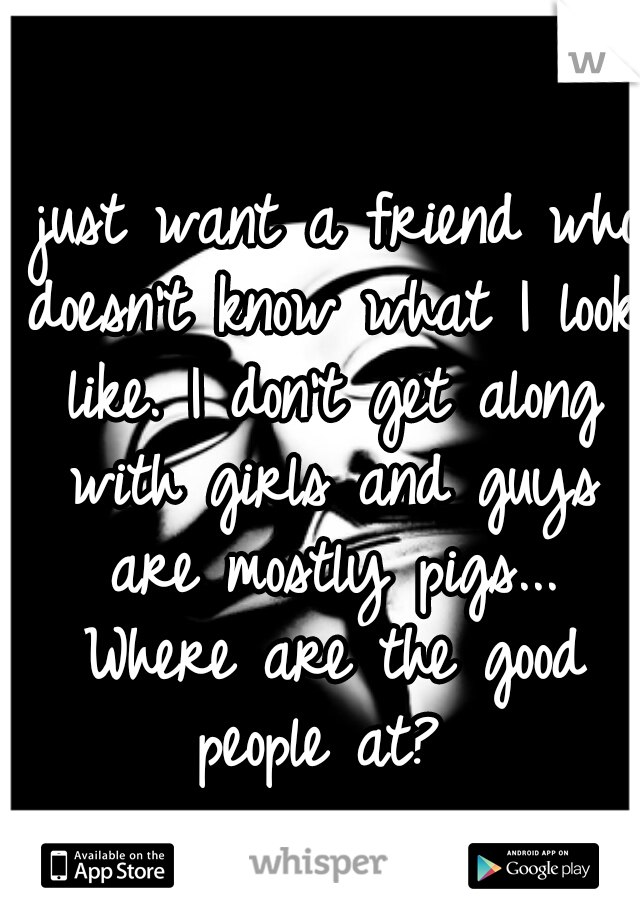 I just want a friend who doesn't know what I look like. I don't get along with girls and guys are mostly pigs... Where are the good people at? 