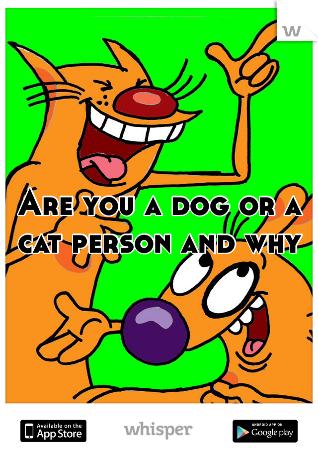 Are you a dog or a cat person and why