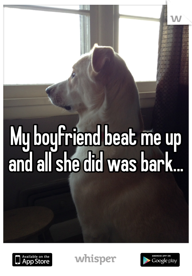 My boyfriend beat me up and all she did was bark...