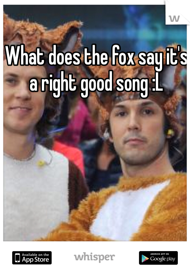 What does the fox say it's a right good song :L