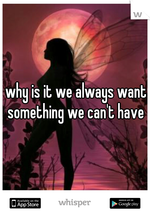  why is it we always want something we can't have