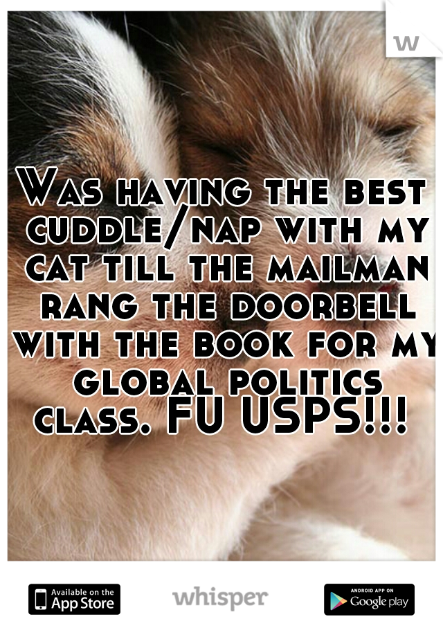 Was having the best cuddle/nap with my cat till the mailman rang the doorbell with the book for my global politics class. FU USPS!!! 