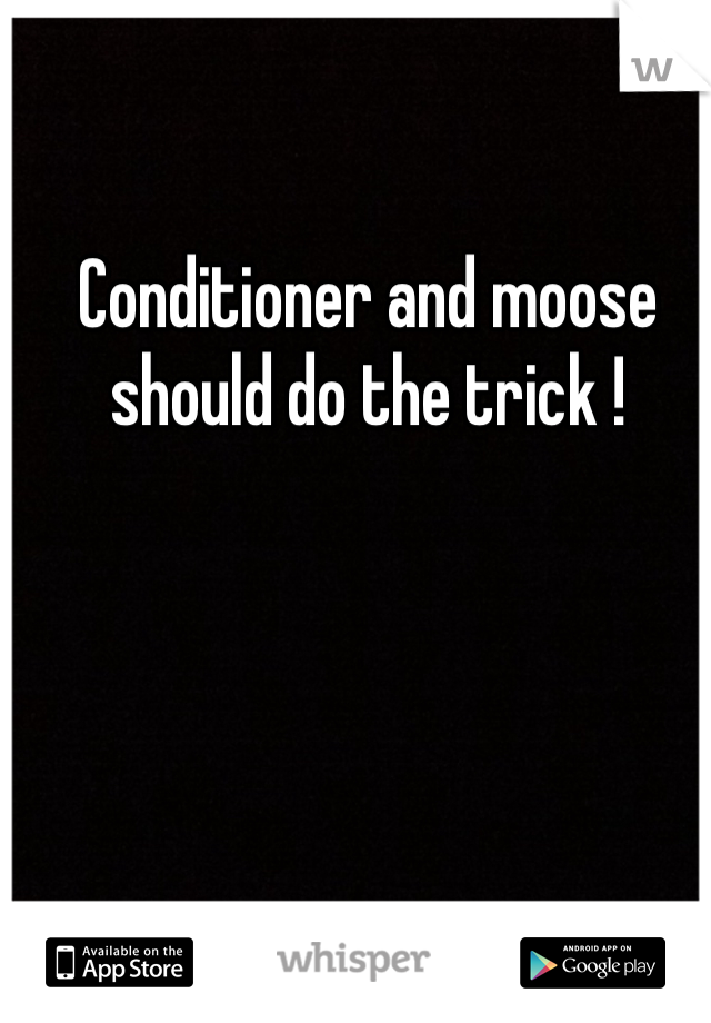 Conditioner and moose should do the trick ! 