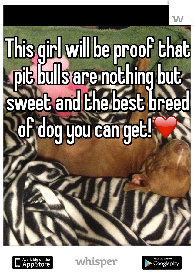 This girl will be proof that pit bulls are nothing but sweet and the best breed of dog you can get!❤️