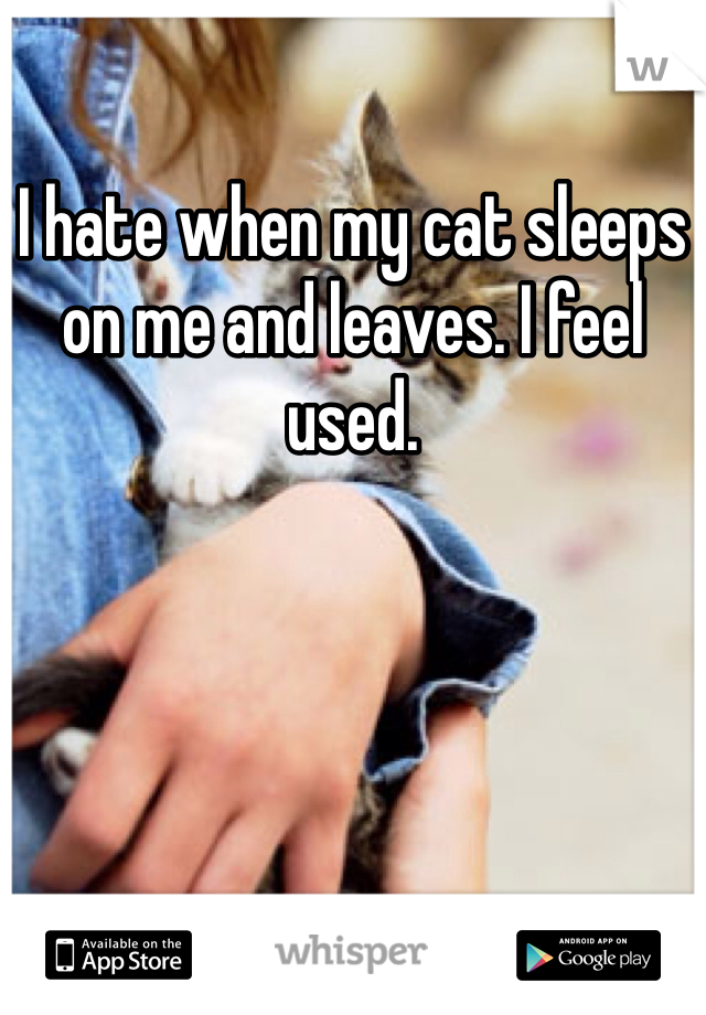 I hate when my cat sleeps on me and leaves. I feel used.