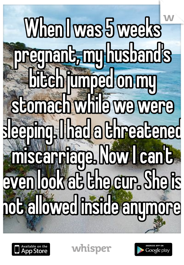 When I was 5 weeks pregnant, my husband's bitch jumped on my stomach while we were sleeping. I had a threatened miscarriage. Now I can't even look at the cur. She is not allowed inside anymore.