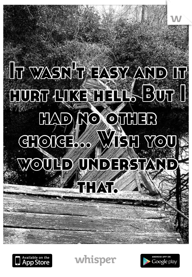 It wasn't easy and it hurt like hell. But I had no other choice... Wish you would understand that. 