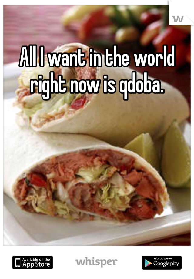 All I want in the world right now is qdoba.