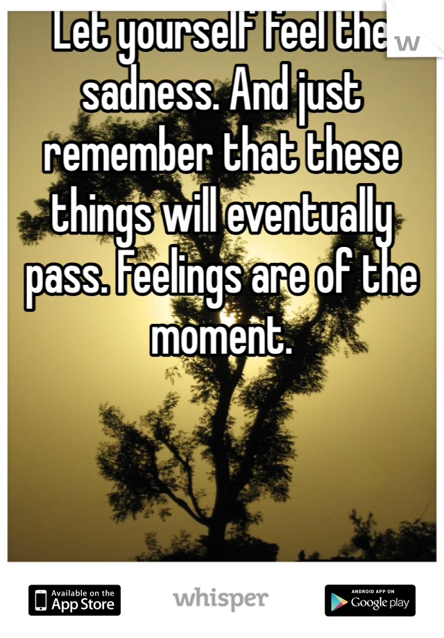 Let yourself feel the sadness. And just remember that these things will eventually pass. Feelings are of the moment.