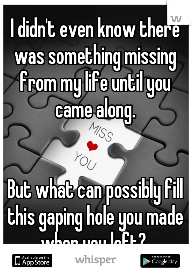 I didn't even know there was something missing from my life until you came along.


But what can possibly fill this gaping hole you made when you left? 