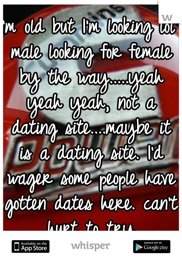 I'm old but I'm looking lol male looking for female by the way.....yeah yeah yeah, not a dating site....maybe it is a dating site. I'd wager some people have gotten dates here. can't hurt to try