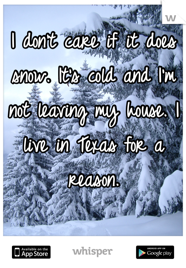 I don't care if it does snow. It's cold and I'm not leaving my house. I live in Texas for a reason. 