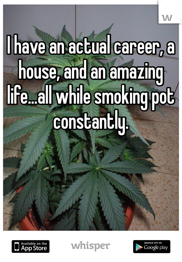 I have an actual career, a house, and an amazing life...all while smoking pot constantly. 