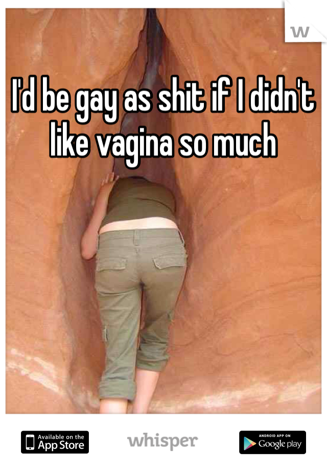 I'd be gay as shit if I didn't like vagina so much