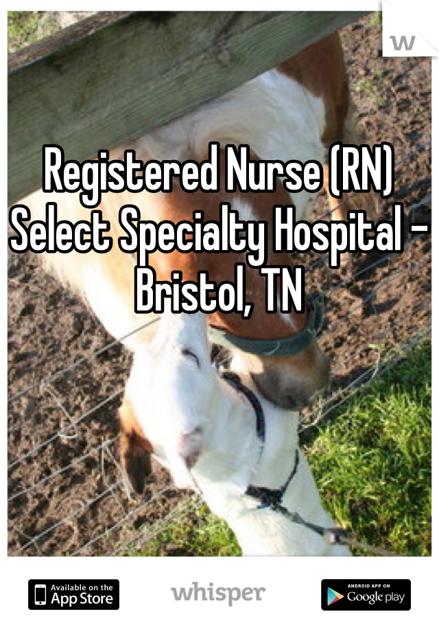 
Registered Nurse (RN)
Select Specialty Hospital - Bristol, TN
