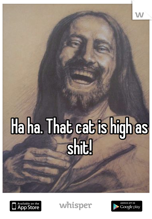 Ha ha. That cat is high as shit!