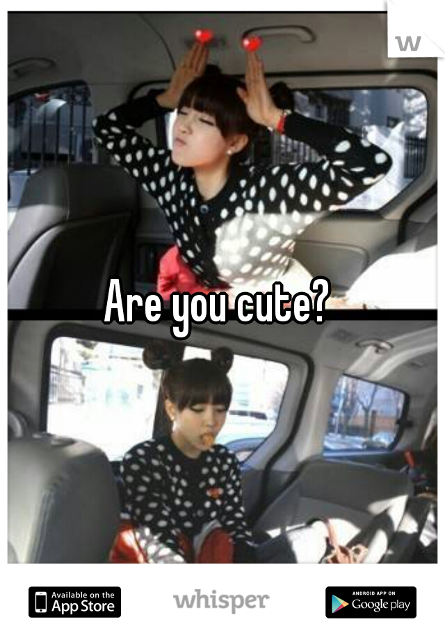 Are you cute? 